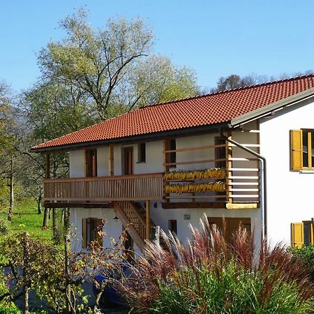 Ecohouse Furlan - Apartment Pinja Kobarid Exteriér fotografie